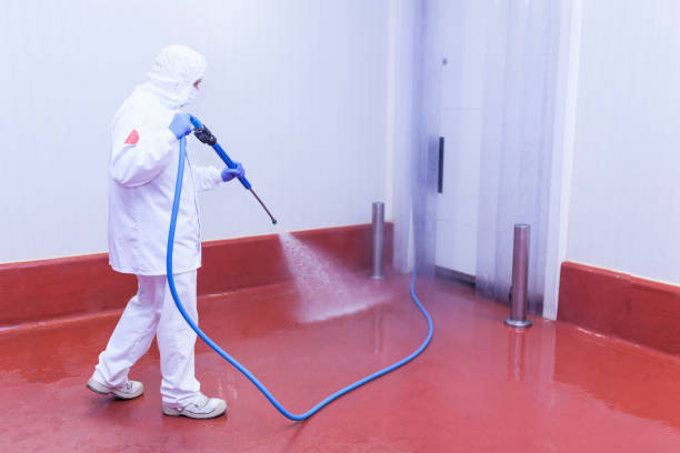 Best Building Exterior Washing  in Magee, MS